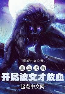 天医狂婿陈阳柳然